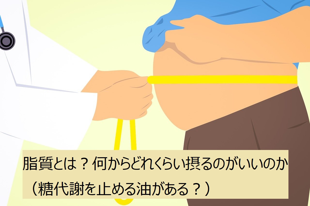 脂質とは？何からどれくらい摂るのがいいのか（糖代謝を止める油がある？）